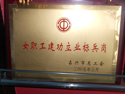 C:\Users\Administrator\Desktop\2005年\女職工建功立業(yè)標(biāo)兵榜\獎(jiǎng)牌 - 副本.JPG